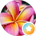 Marie Avatar